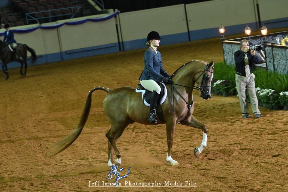 Discovering the Talents of Jennifer Carpenter: A Look into Her Noteworthy TV Shows